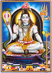 Poster 63.5cm