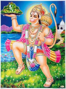 Poster 40.5cm