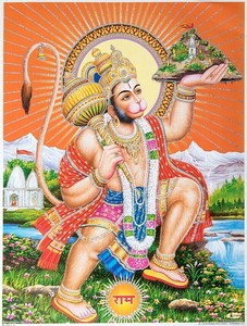 Poster 40.5cm