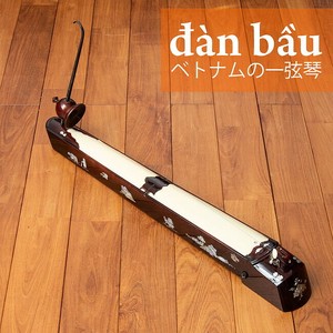 Musical Instrument