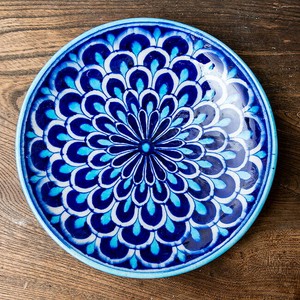 Main Plate 20cm