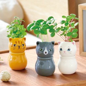 コロコロキャット 猫 ネコ 栽培セット ミント バジル ワイルドストロベリー GD-1026