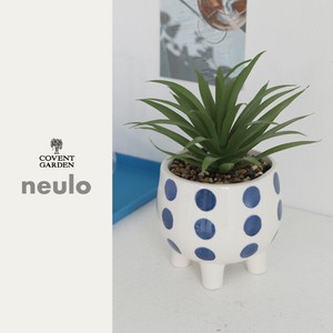 ■2025SS　新作■　【neulo】 フェイクグリーンポット　dot
