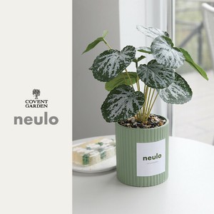 ■2025SS　新作■　【neulo】 フェイクグリーンポット　green
