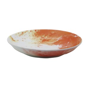 Mino ware COSMO Main Plate Back Order Item Pottery Made in Japan
