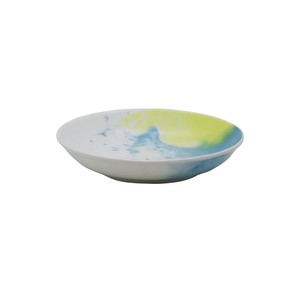 Mino ware COSMO Main Plate Back Order Item Pottery Made in Japan