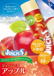 【冷凍庫無料貸出あり/アイスサンプル可】ジューシーズ　アップル　砂糖・甘味料・着色料不使用