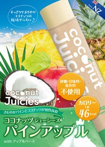 【冷凍庫無料貸出/アイスサンプル可】ココナッツジューシーズ パインアップル 砂糖・甘味料・着色料不使用