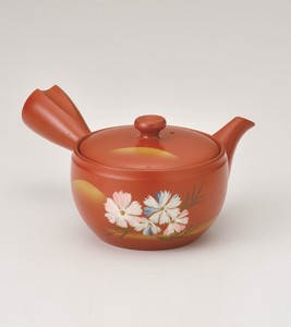 常滑烧 日式茶壶 茶壶 新商品 2025年
