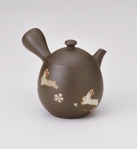 常滑烧 日式茶壶 茶壶 新商品 2025年