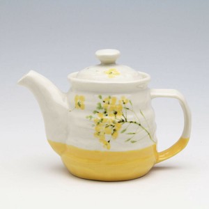 Teapot Flower Garden