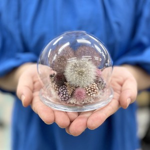 ドライフラワー「世界にひとつ」たんぽぽレターグラスドーム人気人気花材ギフトカラフルインテリア