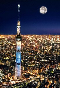 【ジグソーパズル】東京スカイツリー　 ナイトビュー