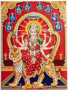 Poster 40.5cm