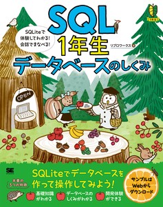 IT/Information Book Lite