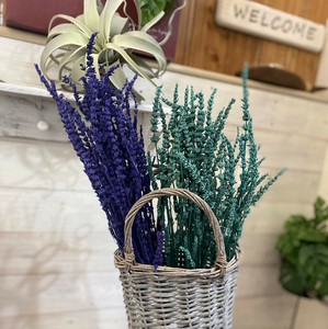 プリザーブドフラワー花材ラベンダー
