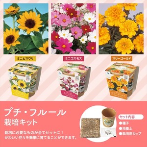 プチ・フルール／栽培キット　ノベルティ　販促　ギフト　名入れ