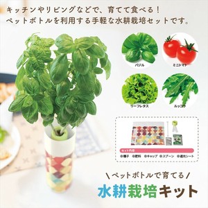 ペットボトルで育てる水耕栽培キット　ノベルティ　販促　ギフト　名入れ