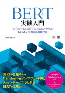 IT/Information Book