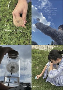 「世界にひとつ」たんぽぽ綿毛ドライフラワー「幸せの訪れ」「家庭の平和」「真心の愛」花材ギフト