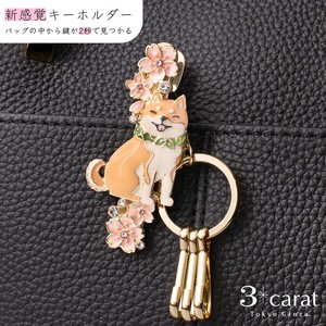 钥匙链 礼盒/礼品套装 夹子