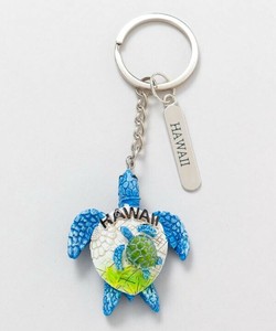 Key Ring