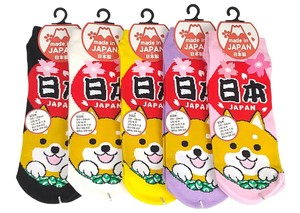 【お土産おもしろソックス】柴犬と桜