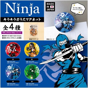 Magnet/Pin