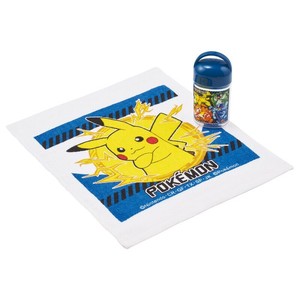 Pokemon Dishcloth Skater