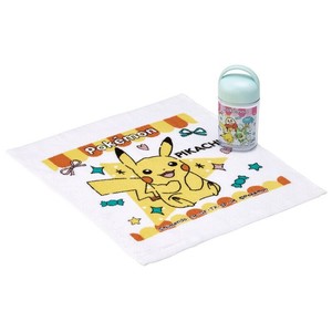 Pokemon Dishcloth Skater