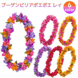 ブーゲンビリアポエポエレイ