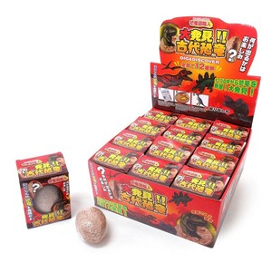 おもちゃ　大発見！！古代恐竜 No.206-633　 ケース販売　知育玩具