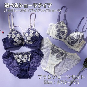 【新商品】【人気】3/4カップブラ＆選べるショーツセット　フルバック　Tバックセット　175019 175019D