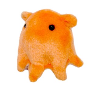 ぬいぐるみ ぷるるん メンダコ