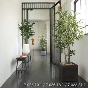【w/g 日常を楽しみ、豊かにする】  ファイカス キューブ☆フェイクグリーン