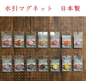 Magnet/Pin