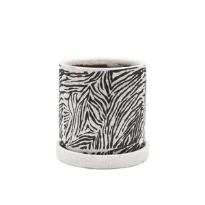 Pot/Planter
