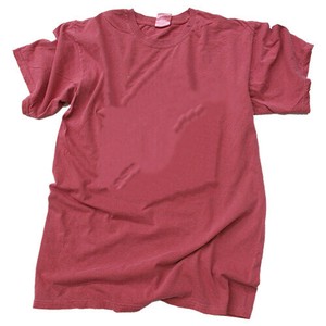 セール品  Anvil （アンビル） ピグメント Tシャツ YB-TS-RR RED ROCK