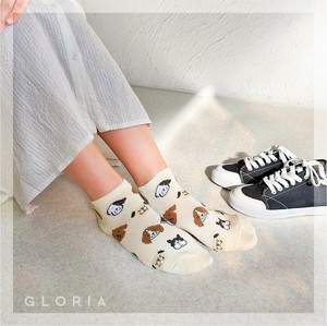 Crew Socks Ladies fashion Koala Cat Rabbit Socks [S/S NEW]