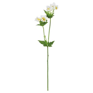 人造植物/人造花