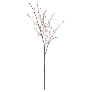 桜×58