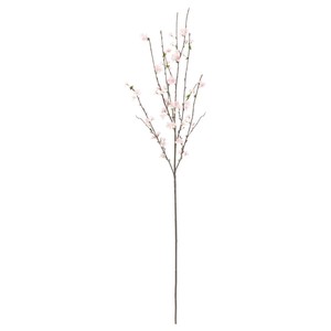 桜×72