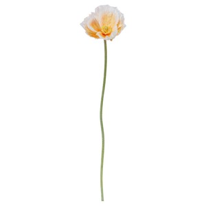 人造植物/人造花