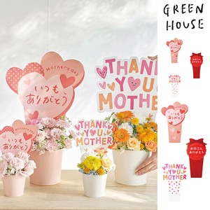 Garden Accessories
