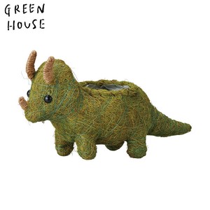 Pot/Planter Triceratops
