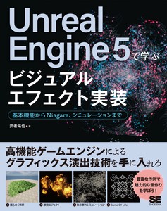 IT/Information Book