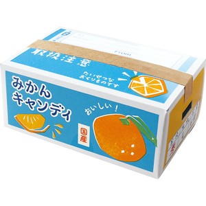■2025SS　新作■　ミニチュアギフト　キャンディー　BL（みかん）