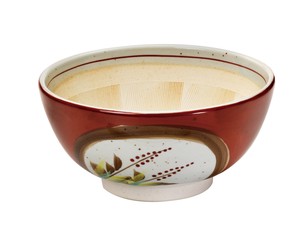 Mino ware Main Dish Bowl Back Order Item Made in Japan