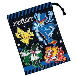 Pokemon Small Item Organizer Skater Made in Japan