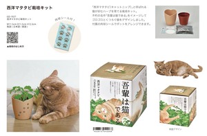 「栽培セット」「猫グッズ」西洋マタタビ栽培キット キャットニップ